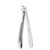 Forceps - lower premolar