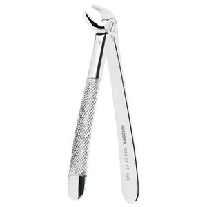 Forceps - lower incisors and canines