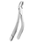 Forceps - upper premolar Cryer