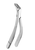 Forceps - lower premolar Cryer