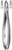fig.1, English pattern, upper centrals and canines