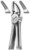 fig.7, English pattern, upper premolars