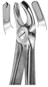 fig.17, English pattern, upper molars, right