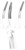 fig.49, English pattern, upper roots