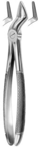 fig.51, English pattern, upper roots