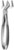 fig.51, English pattern, upper roots