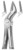fig.51A, English pattern, upper roots