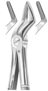 fig.52, English pattern, upper roots