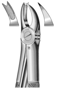 fig.90, English pattern, upper molars, left