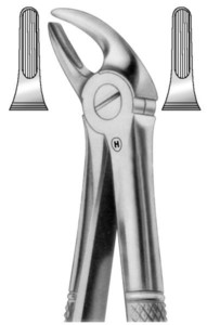 fig.4, English pattern, lower incisors and canines