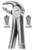 fig.22, English pattern, lower molars