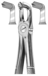 fig.79, English pattern, lower third molars