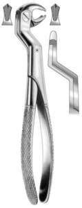 fig.22 1/2 R, English pattern, lower molars and wisdoms, right