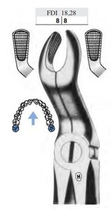 fig.67, English pattern, z oprijemnim profilom, upper third molars