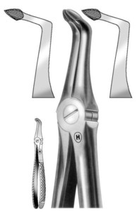 fig.49, lower roots, specific for alveolar rests of roots