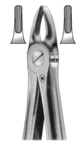 fig.37, English pattern, otroške, zgornji sekalci in očnjaki