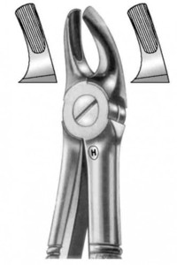 fig.39, English pattern, otroške, zgornji molarji