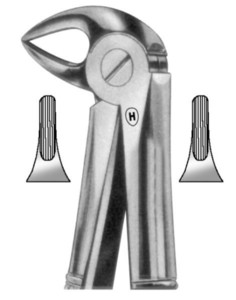 fig.33S, English pattern, otroške, spodnje koreninske