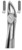 fig.30, English pattern, with non-slip hold, upper roots and incisors, either side