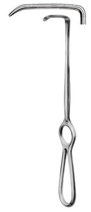 Langenbeck, fig. 4, 40 x 11 mm